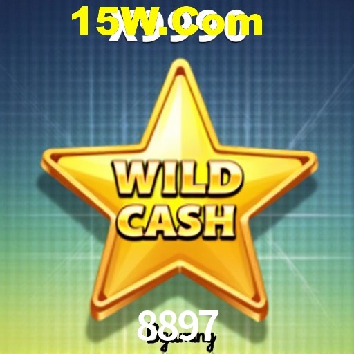 VIP Casino 8897